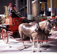 Museum of Fire - Tourism Caloundra