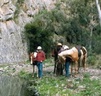 Yarramba Horse Riding - Tourism Caloundra