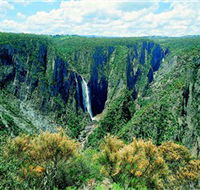 Wollomombi Falls - Tourism Caloundra
