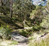Wollomombi walking track - Tourism Caloundra