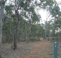 Green track - Tourism Caloundra