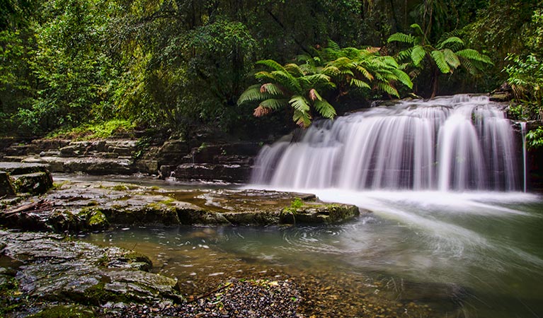 Sugarloaf ACT Tourism Caloundra