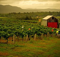Around Hermitage Wine and Food Trail Hunter Valley - Tourism Caloundra