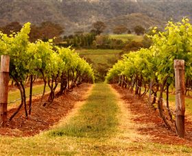 Hunter Valley Wine School - Tourism Caloundra 1