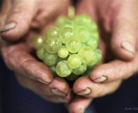 Keith Tulloch Wine - Tourism Caloundra 1