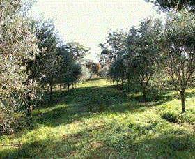 Langdale Farm - Tourism Caloundra 0