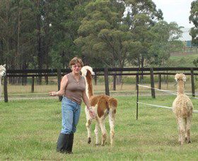 Langdale Farm - Tourism Caloundra 4