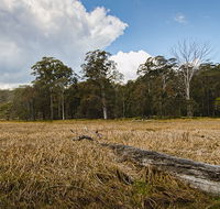 Mummel Gulf National Park - Tourism Caloundra