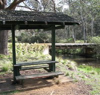 Barrington Tops State Forest - Tourism Caloundra