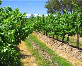 Misty Glen Wines And Cottage - Tourism Caloundra 1