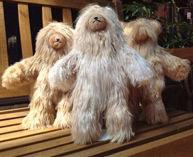 Australian Alpaca Barn - Pokolbin - Tourism Caloundra 5