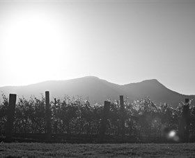 Scarborough Wine Co. - Tourism Caloundra 1