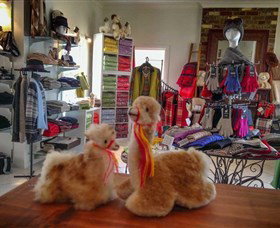 Australian Alpaca Barn - Hunter Valley Gardens - Tourism Caloundra 2