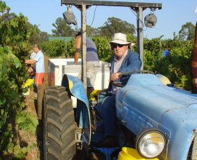 Pokolbin Brothers Wines Hunter Valley - Tourism Caloundra 1