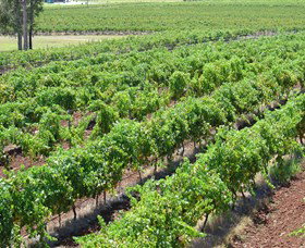 Pokolbin Brothers Wines Hunter Valley - Tourism Caloundra 0