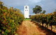Bimbadgen Winery - thumb 0