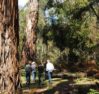 Tallaganda National Park - Tourism Caloundra