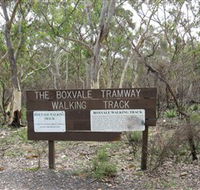 Box Vale Picnic Area - Tourism Caloundra
