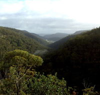 Nattai Gorge Lookout - Tourism Caloundra