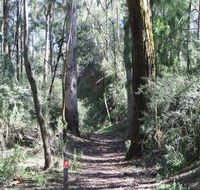 Box Vale Mine Walking Track and Lookout - Tourism Caloundra