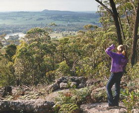 Gibbergunyah Reserve - Tourism Caloundra 0
