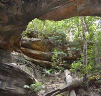 Cave Creek Walking Track - Tourism Caloundra