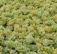 Normanby Wines - Tourism Caloundra