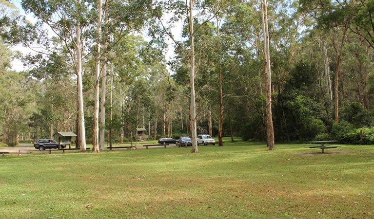 Gunderman NSW Tourism Caloundra