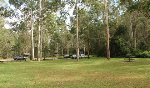 Mill Creek Picnic Area - Tourism Caloundra 0