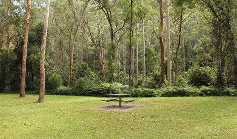 Mill Creek Picnic Area - Tourism Caloundra 1