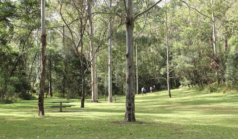 Mill Creek Picnic Area - Tourism Caloundra 3