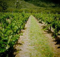 Gartelmann Wines - Tourism Caloundra