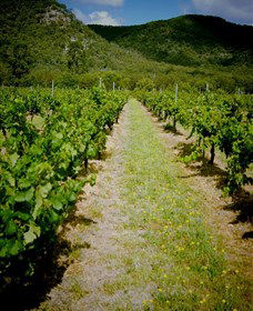 Gartelmann Wines - Tourism Caloundra 0