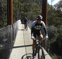 McGees Cycling Store - Tourism Caloundra