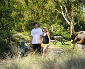 Sale Common Wetlands Walk - Tourism Caloundra 0