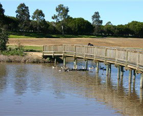 Sale Common Wetlands - Tourism Caloundra 0