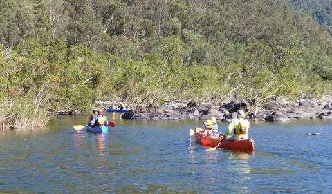 Nymboida National Park - Tourism Caloundra 1