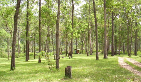 Nymboida National Park - Tourism Caloundra 2