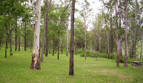 Nymboida National Park - Tourism Caloundra 3