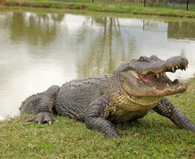 Hunter Valley Zoo - Tourism Caloundra 1