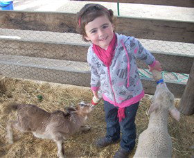 Hunter Valley Zoo - Tourism Caloundra 4