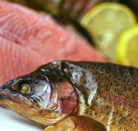 Lovedale Smokehouse Gourmet Pantry Cafe and Masterclasses - Tourism Caloundra