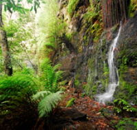 Fairy Bower Falls - Tourism Caloundra