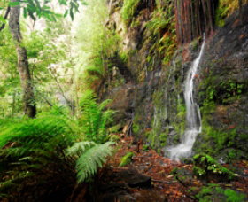 Fairy Bower Falls - Tourism Caloundra 0