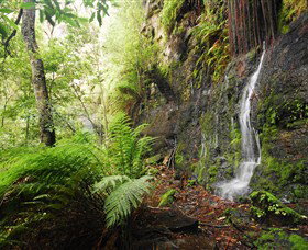 Fairy Bower Falls - Tourism Caloundra 2