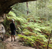 Dharug National Park - Tourism Caloundra