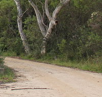 Riverview walking track - Tourism Caloundra