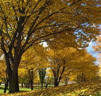 Centennial Park at Cooma - Tourism Caloundra