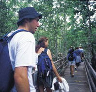 Bellthorpe National Park - Tourism Caloundra