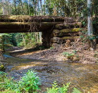Myrtle Scrub scenic drive - Tourism Caloundra